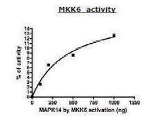 MKK6 active human recombinant, expressed in baculovirus infected Sf9 cells, &#8805;80% (SDS-PAGE)