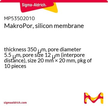 MakroPor, silicon membrane thickness 350&#160;&#956;m, pore diameter 5.5&#160;&#956;m, pore size 12&#160;&#956;m (interpore distance), size 20&#160;mm × 20&#160;mm, pkg of 10&#160;pieces