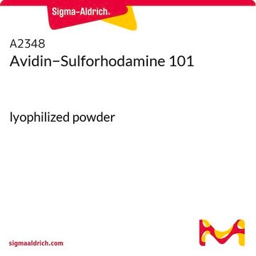 Avidin&#8722;Sulforhodamine 101 lyophilized powder