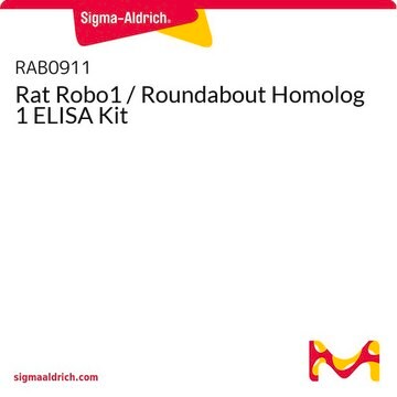 Rat Robo1 / Roundabout Homolog 1 ELISA Kit