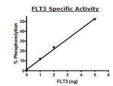 Flt3 active human recombinant, expressed in baculovirus infected Sf9 cells, &#8805;80% (SDS-PAGE)