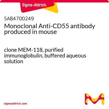 Monoclonal Anti-CD55 antibody produced in mouse clone MEM-118, purified immunoglobulin, buffered aqueous solution