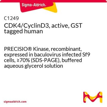 CDK4/CyclinD3, active, GST tagged human PRECISIO&#174; Kinase, recombinant, expressed in baculovirus infected Sf9 cells, &#8805;70% (SDS-PAGE), buffered aqueous glycerol solution