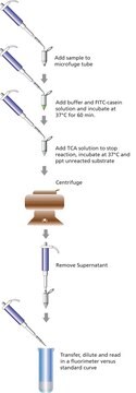 Protease Fluorescent Detection Kit high sensitivity assay