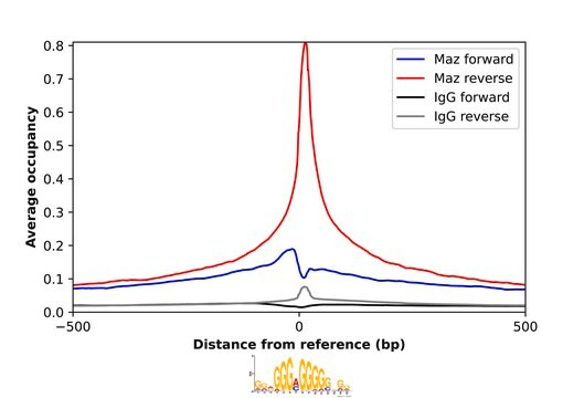 Anti-MAZ antibody produced in rabbit Prestige Antibodies&#174; Powered by Atlas Antibodies, affinity isolated antibody