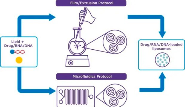 NanoFabTx&#8482;- Maleimide Lipid Mix for synthesis of maleimide-functionalized liposomes