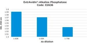 ExtrAvidin&#174; –Alkaline Phosphatase buffered aqueous solution
