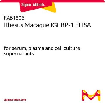 Rhesus Macaque IGFBP-1 ELISA for serum, plasma and cell culture supernatants