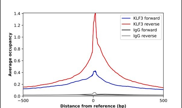 Anti-KLF3 antibody produced in rabbit Prestige Antibodies&#174; Powered by Atlas Antibodies, affinity isolated antibody