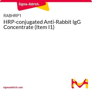 HRP-conjugated Anti-Rabbit IgG Concentrate (Item I1)