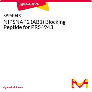 NIPSNAP2 (AB1) Blocking Peptide for PRS4943