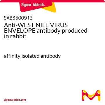 Anti-WEST NILE VIRUS ENVELOPE antibody produced in rabbit affinity isolated antibody