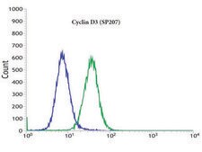 Anti-Cyclin D3 antibody, Rabbit monoclonal clone SP207, recombinant, expressed in proprietary host, affinity isolated antibody