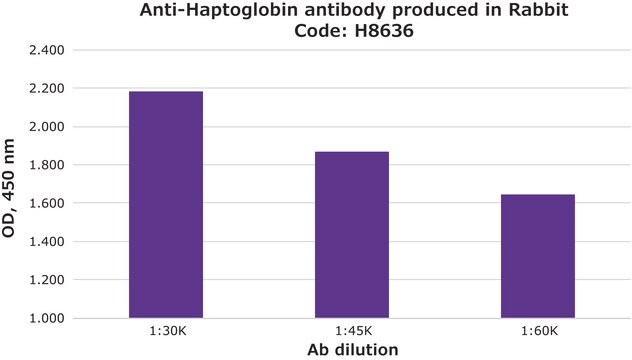 Anti-Haptoglobin antibody produced in rabbit IgG fraction of antiserum, lyophilized powder