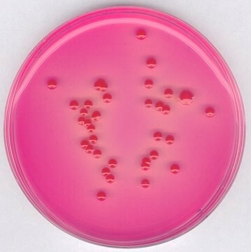 Dichloran Rose bengal Agar (Base) suitable for microbiology, NutriSelect&#174; Plus