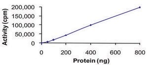 PDGFR-&#945;, active, GST tagged from mouse PRECISIO&#174;, recombinant, expressed in baculovirus infected Sf9 cells, &#8805;70% (SDS-PAGE), buffered aqueous glycerol solution