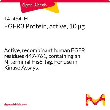 FGFR3 Protein, active, 10 &#181;g Active, recombinant human FGFR residues 447-761, containing an N-terminal His6-tag. For use in Kinase Assays.