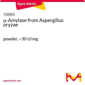 &#945;-Amylase from Aspergillus oryzae powder, ~30&#160;U/mg