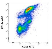 Monoclonal Anti-CD1a FITC produced in mouse