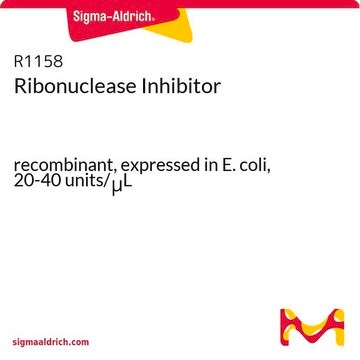 Ribonuclease Inhibitor recombinant, expressed in E. coli, 20-40&#160;units/&#956;L