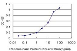 ANTI-PRKCI antibody produced in mouse clone 1C10, purified immunoglobulin, buffered aqueous solution