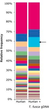 Microbial DNA standard from Thermobifida fusca Suitable for PCR, sequencing and NGS, 10&#160;ng/&#956;L