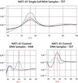 GenomePlex&#174; Single Cell Whole Genome Amplification Kit Amplify genome of a single cell