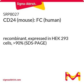 CD24 (mouse): FC (human) recombinant, expressed in HEK 293 cells, &gt;90% (SDS-PAGE)