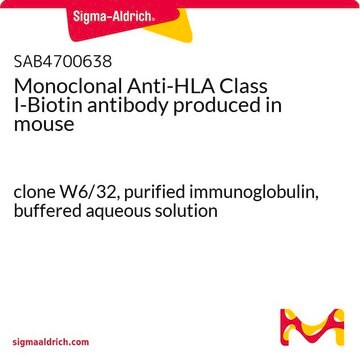 Monoclonal Anti-HLA Class I-Biotin antibody produced in mouse clone W6/32, purified immunoglobulin, buffered aqueous solution