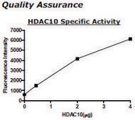 HDAC-10 human recombinant, expressed in baculovirus infected insect cells, &#8805;10% (SDS-PAGE)