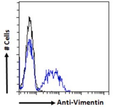 Anti-HRH2 antibody produced in goat affinity isolated antibody, buffered aqueous solution