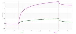 Anti-PNPLA2/ATGL Antibody, clone 2G22 ZooMAb&#174; Rabbit Monoclonal recombinant, expressed in HEK 293 cells