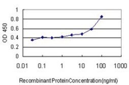 ANTI-TLR9 antibody produced in mouse clone 3B7, purified immunoglobulin, buffered aqueous solution
