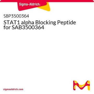 STAT1 alpha Blocking Peptide for SAB3500364