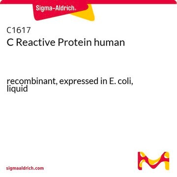 C Reactive Protein human recombinant, expressed in E. coli, liquid