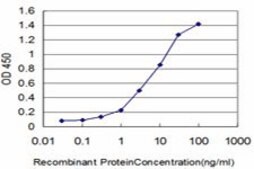 ANTI-FGR antibody produced in mouse clone 4C12, purified immunoglobulin, buffered aqueous solution