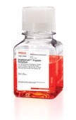 StableCell&#8482; Trypsin Solution 5X, sterile-filtered, BioReagent, suitable for cell culture, 2.5 g porcine trypsin and 0.2 g EDTA, 4Na per liter of Hanks&#8242; Balanced Salt Solution with phenol red