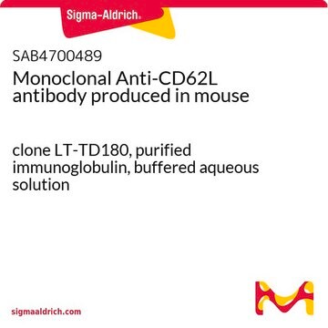 Monoclonal Anti-CD62L antibody produced in mouse clone LT-TD180, purified immunoglobulin, buffered aqueous solution