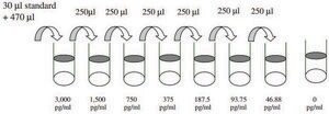 Human BMP2 ELISA Kit for serum, plasma, cell culture supernatant and urine