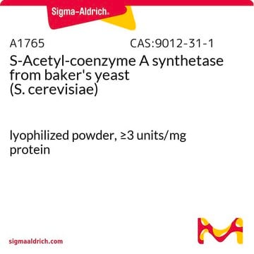 S-Acetyl-coenzyme&#160;A synthetase from baker’s yeast (S.&#160;cerevisiae) lyophilized powder, &#8805;3&#160;units/mg protein