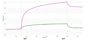 Anti-PPAR&#948; Antibody, clone 1I8 ZooMAb&#174; Rabbit Monoclonal recombinant, expressed in HEK 293 cells