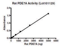 PDE7A active rat recombinant, expressed in baculovirus infected Sf9 cells, &#8805;30% (SDS-PAGE)