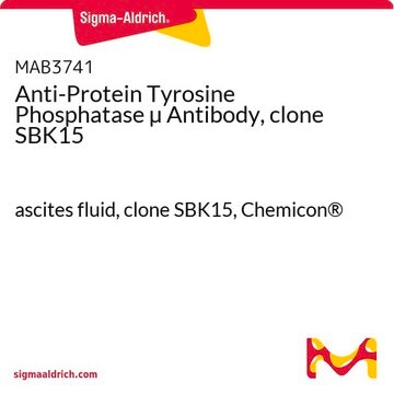 Anti-Protein Tyrosine Phosphatase &#181; Antibody, clone SBK15 ascites fluid, clone SBK15, Chemicon&#174;