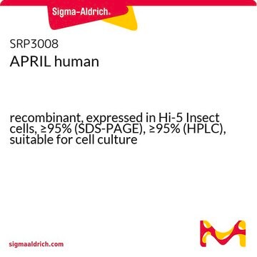 APRIL human recombinant, expressed in Hi-5 Insect cells, &#8805;95% (SDS-PAGE), &#8805;95% (HPLC), suitable for cell culture