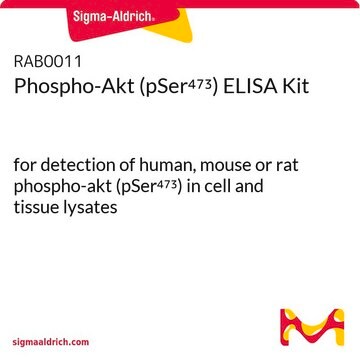 Phospho-Akt (pSer473) ELISA Kit for detection of human, mouse or rat phospho-akt (pSer473) in cell and tissue lysates