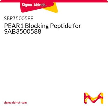 PEAR1 Blocking Peptide for SAB3500588