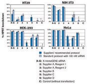 X-tremeGENE&#8482; siRNA Transfection Reagent Polymer reagent for delivering siRNA to common cell lines