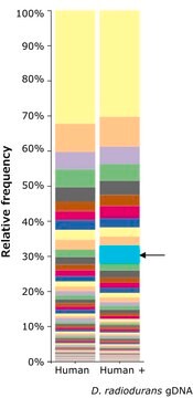 Microbial DNA standard from Deinococcus radiodurans Suitable for PCR, sequencing and NGS, 10&#160;ng/&#956;L