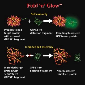 In Vitro Mammalian Optimized Split GFP Fold &#8242;n&#8242; Glow&#8482; Solubility Assay Kit (cyan)