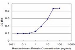 Monoclonal Anti-POLD4 antibody produced in mouse clone 2C11, purified immunoglobulin, buffered aqueous solution